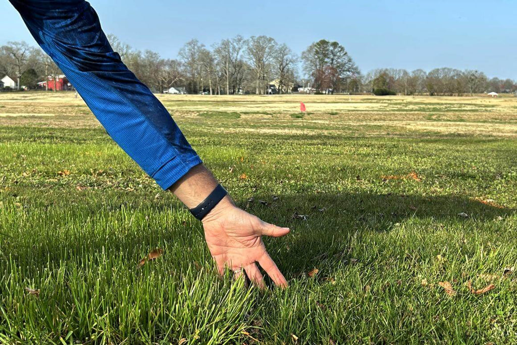 Excellent Ground Covering